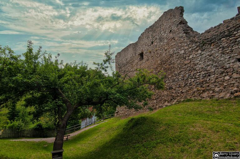 Ruine in Puchberg!
