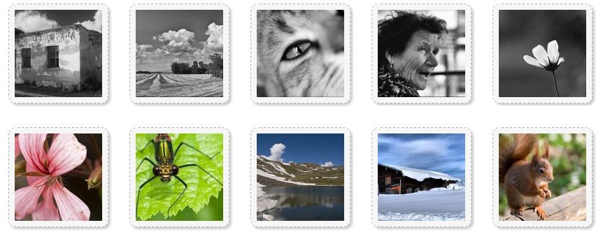 Portfolio