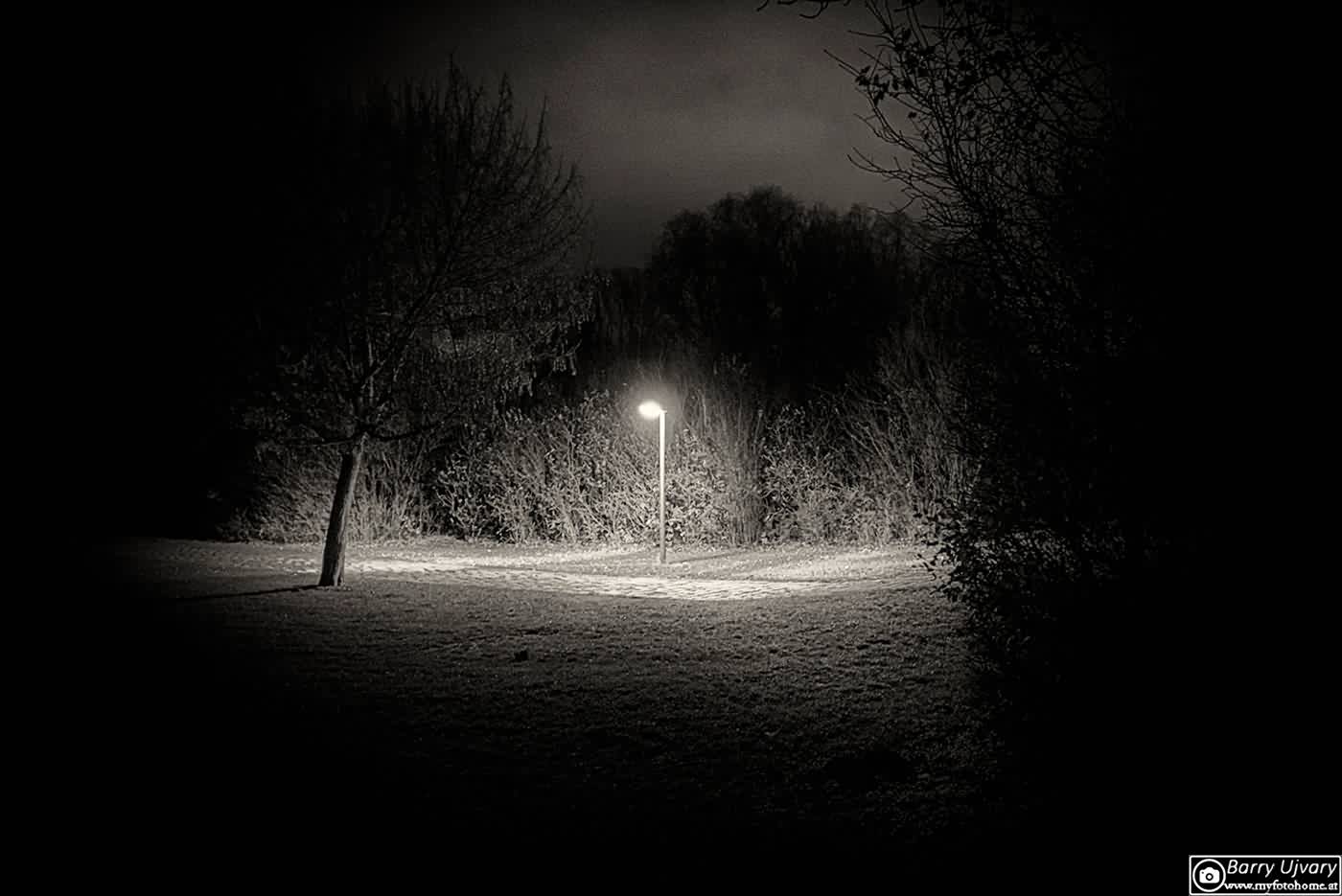 Available Light