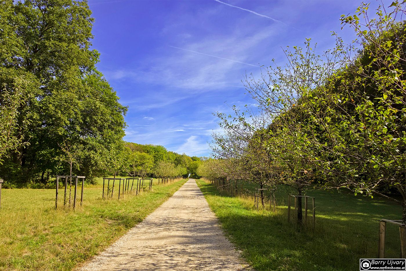 Symmetrischer Spazierweg durch eine Allee mit herbstlichen Bäumen und Wiesen im Naturpark Föhrenberge bei sonnigem Himmel.
