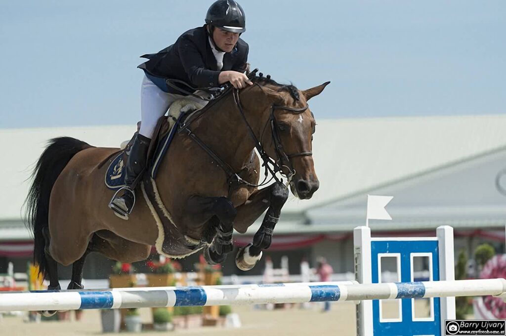 Springreiter im Magna Racino
